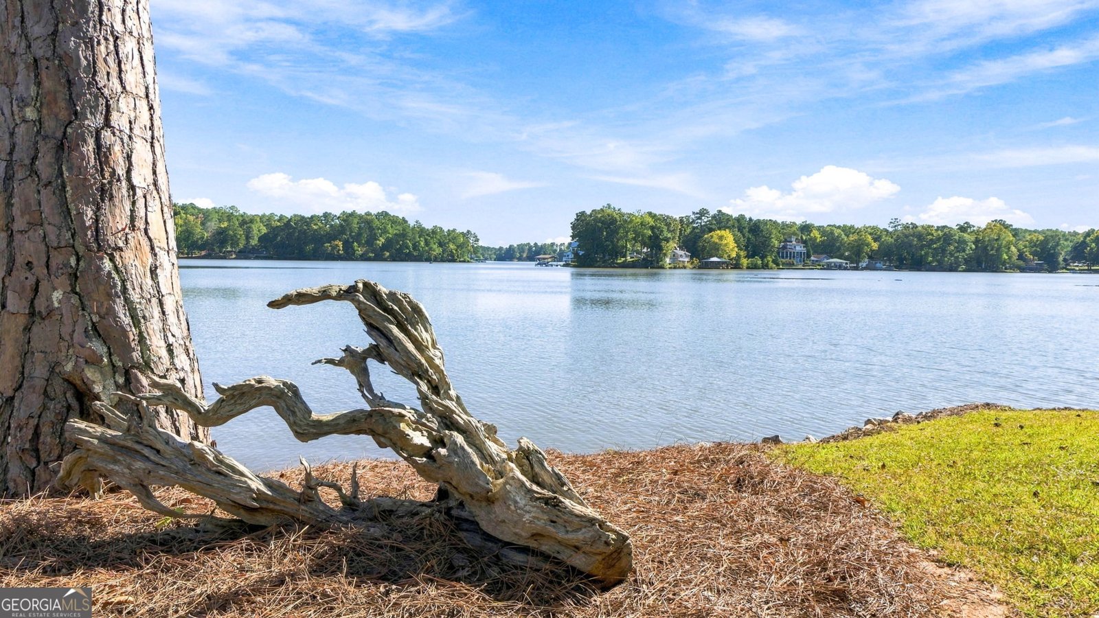 451 Mayo Road Covington - Photo 48