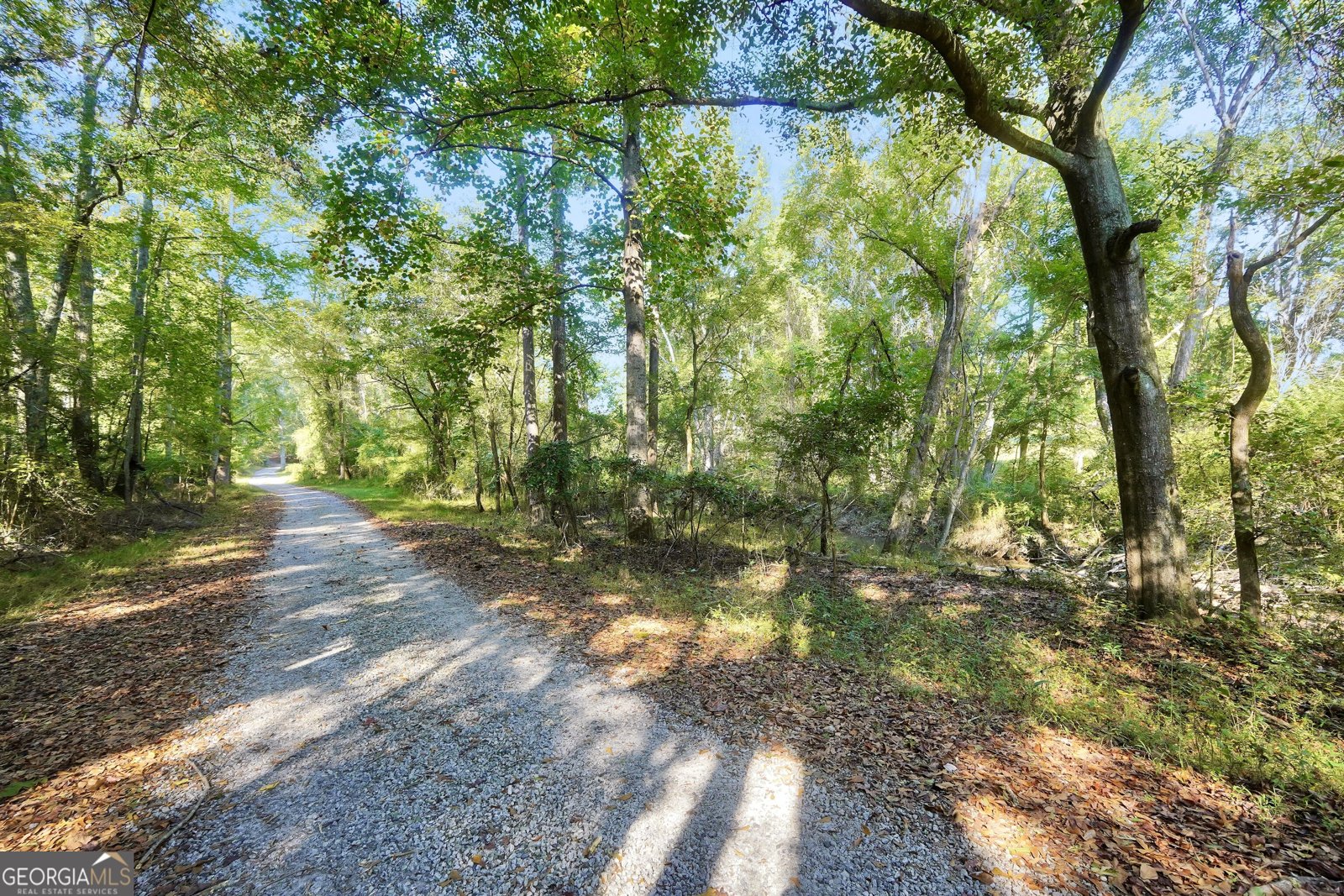531 Caldwell Road Griffin - Photo 60