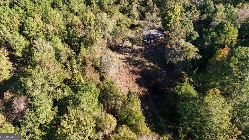 585 Berkeley Road Carlton - Photo 16