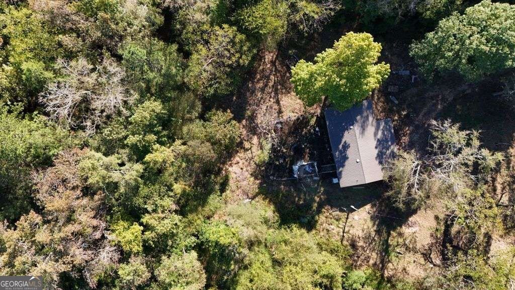 585 Berkeley Road Carlton - Photo 17