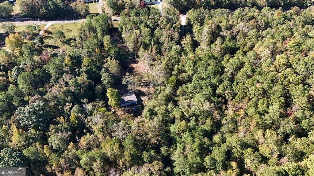 585 Berkeley Road Carlton - Photo 18