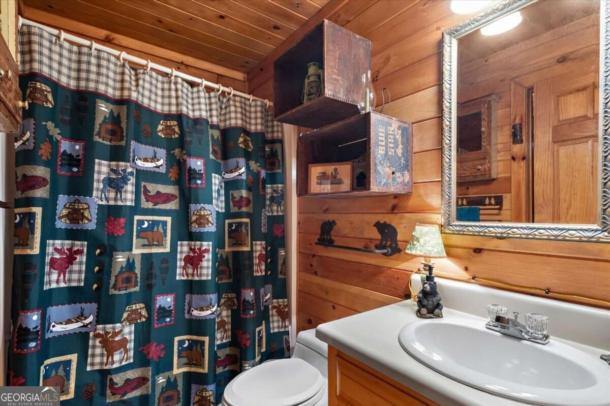 1265 Walnut Ridge Ellijay - Photo 21