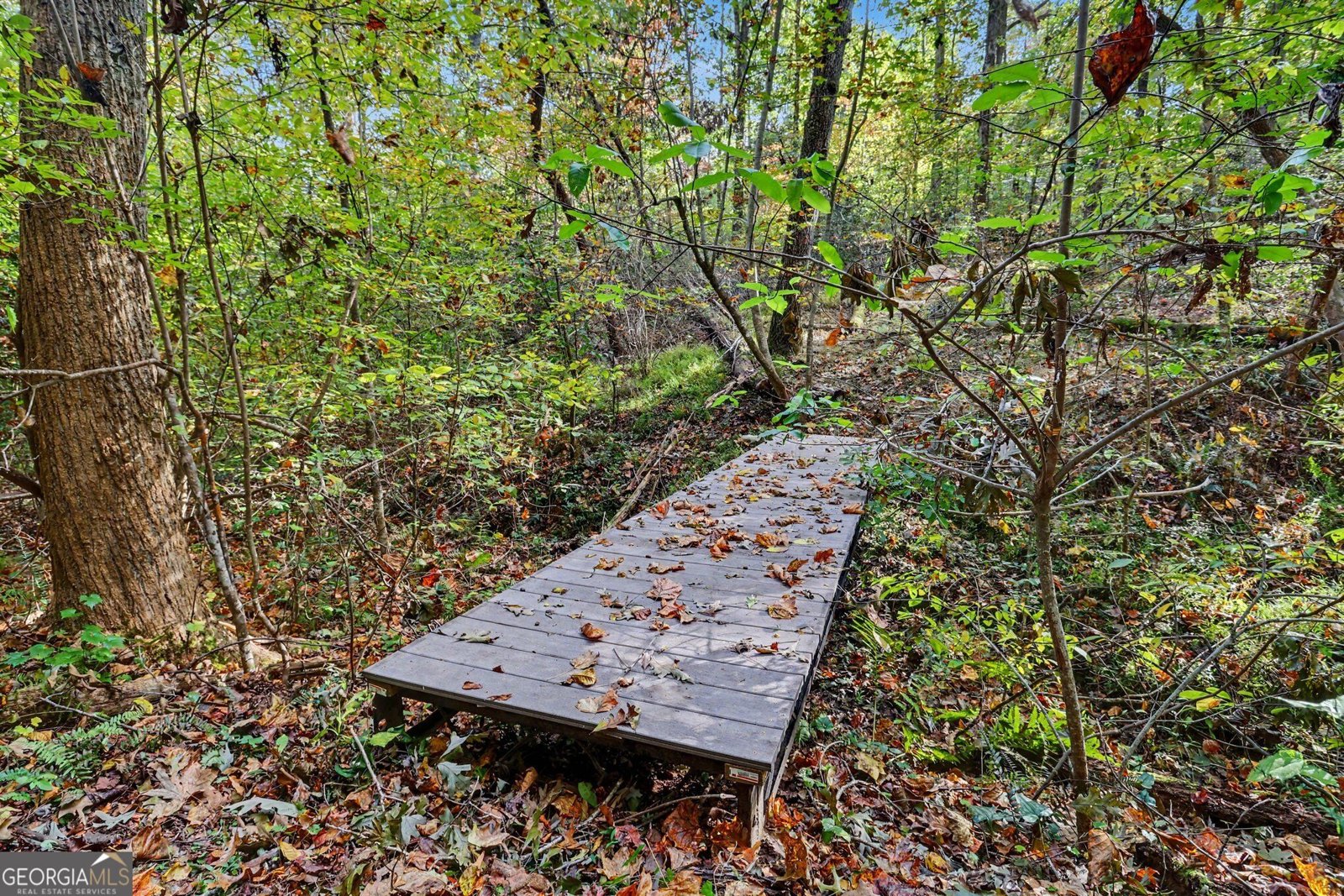 193 Copper Mill Road Dahlonega - Photo 10