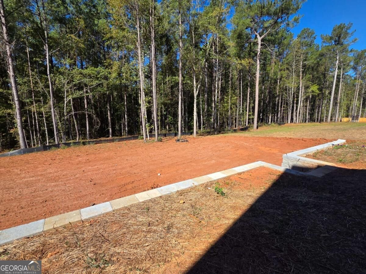 335 Meadows Drive Bethlehem - Photo 31