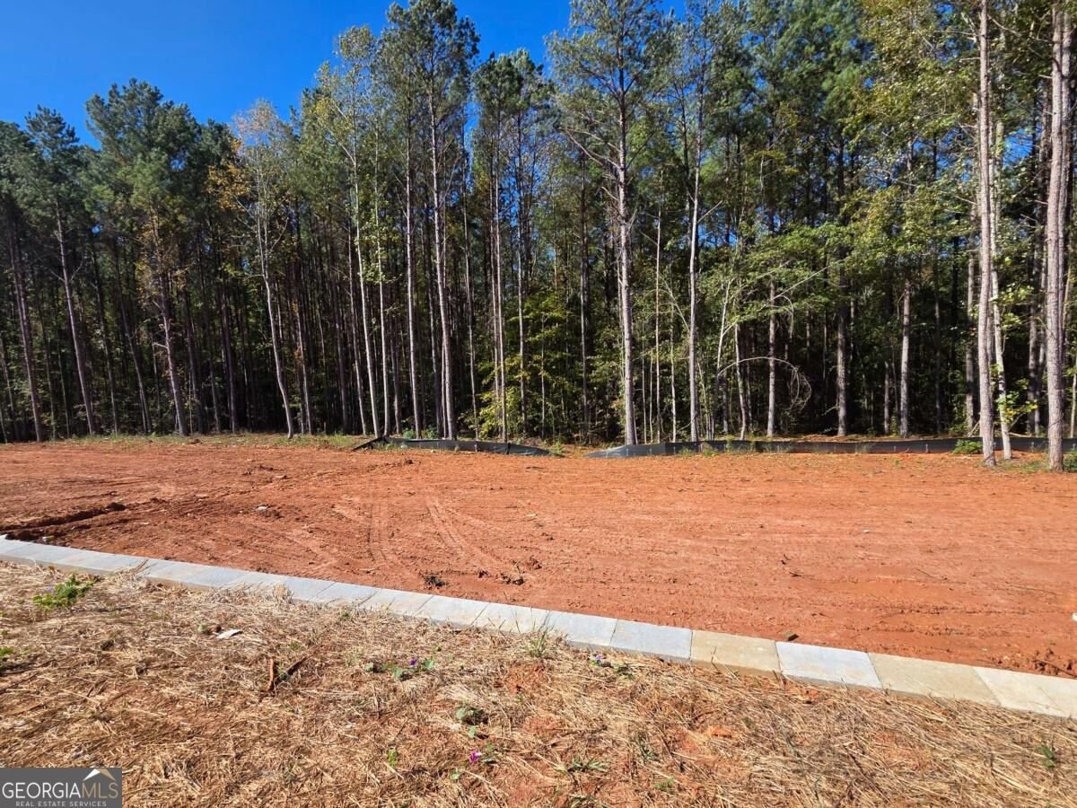 335 Meadows Drive Bethlehem - Photo 34