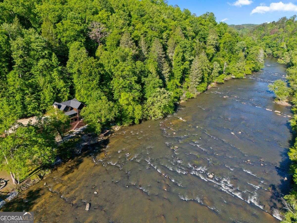 1031 Fugue Drive Ellijay - Photo 44