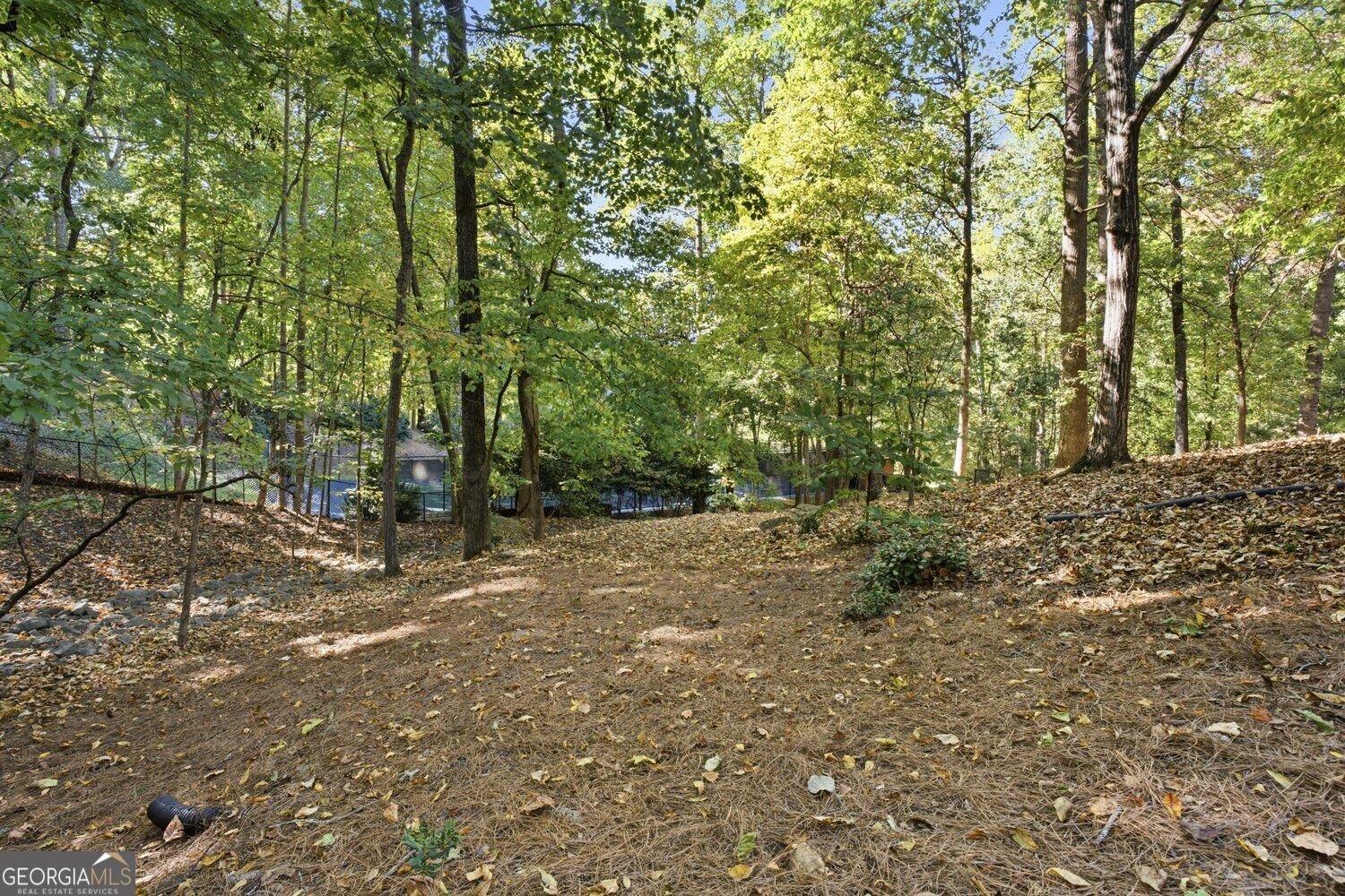 120 Sentinae Close Sandy Springs - Photo 121