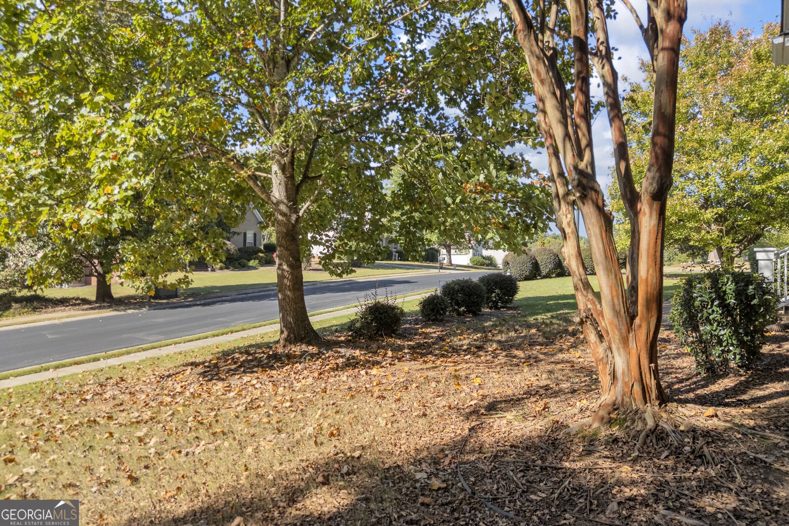 602 Trellis Court Athens - Photo 49
