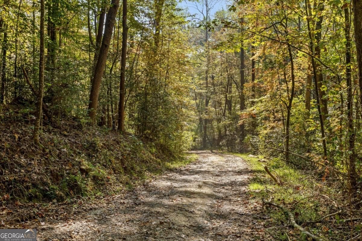 235 Chadwick Road Ellijay - Photo 12