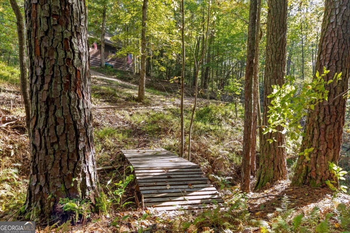 235 Chadwick Road Ellijay - Photo 32