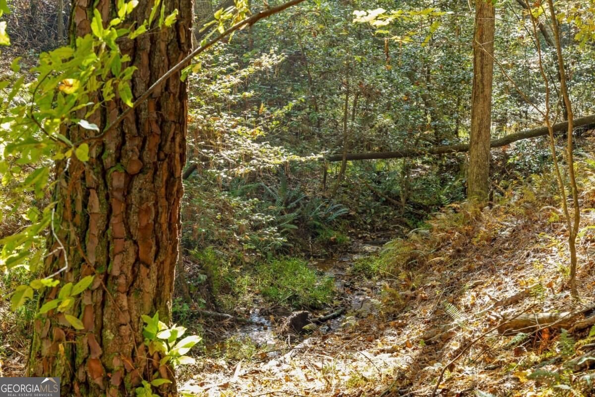 235 Chadwick Road Ellijay - Photo 35