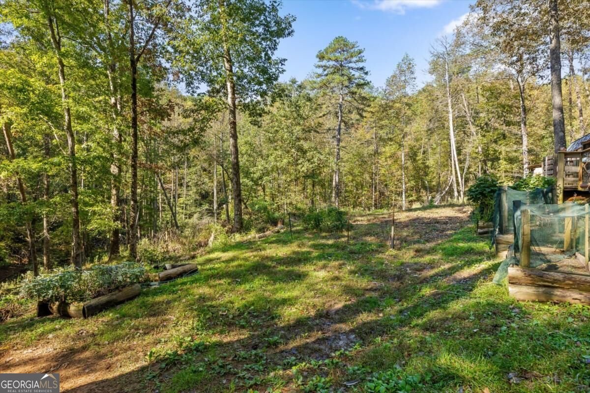 235 Chadwick Road Ellijay - Photo 37