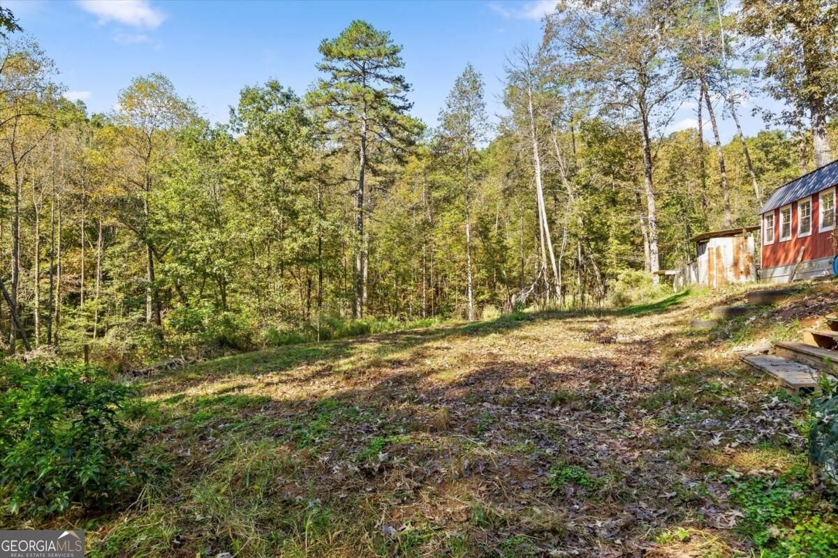 235 Chadwick Road Ellijay - Photo 38