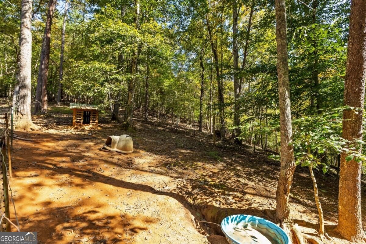 235 Chadwick Road Ellijay - Photo 43