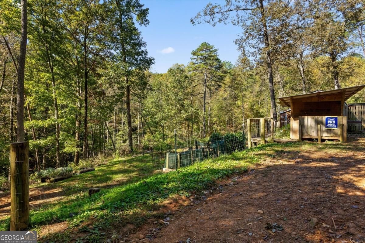 235 Chadwick Road Ellijay - Photo 44