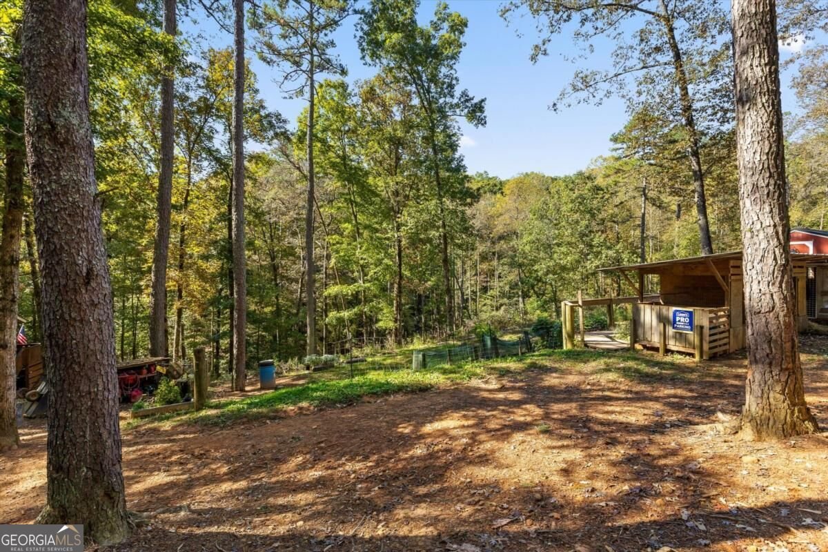 235 Chadwick Road Ellijay - Photo 45