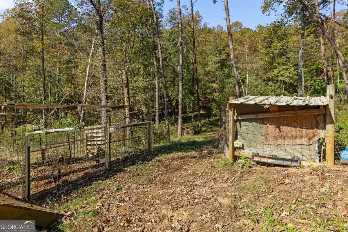 235 Chadwick Road Ellijay - Photo 60