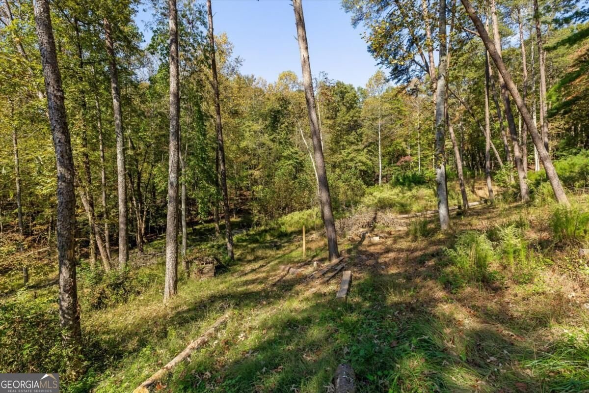 235 Chadwick Road Ellijay - Photo 63