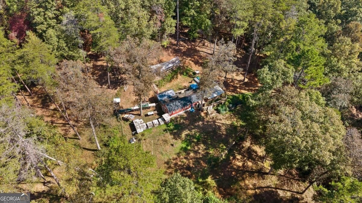 235 Chadwick Road Ellijay - Photo 64