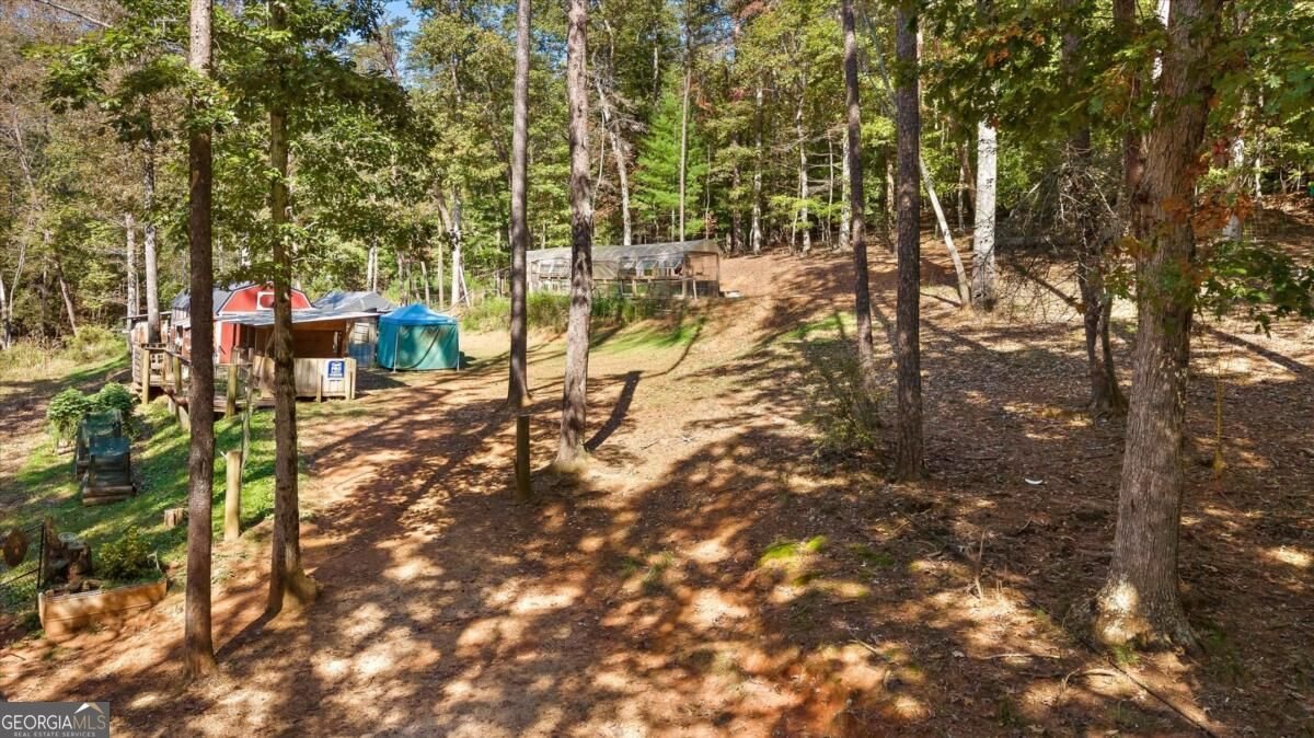 235 Chadwick Road Ellijay - Photo 65