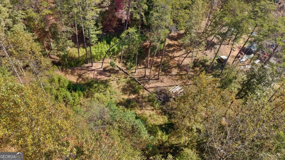 235 Chadwick Road Ellijay - Photo 66