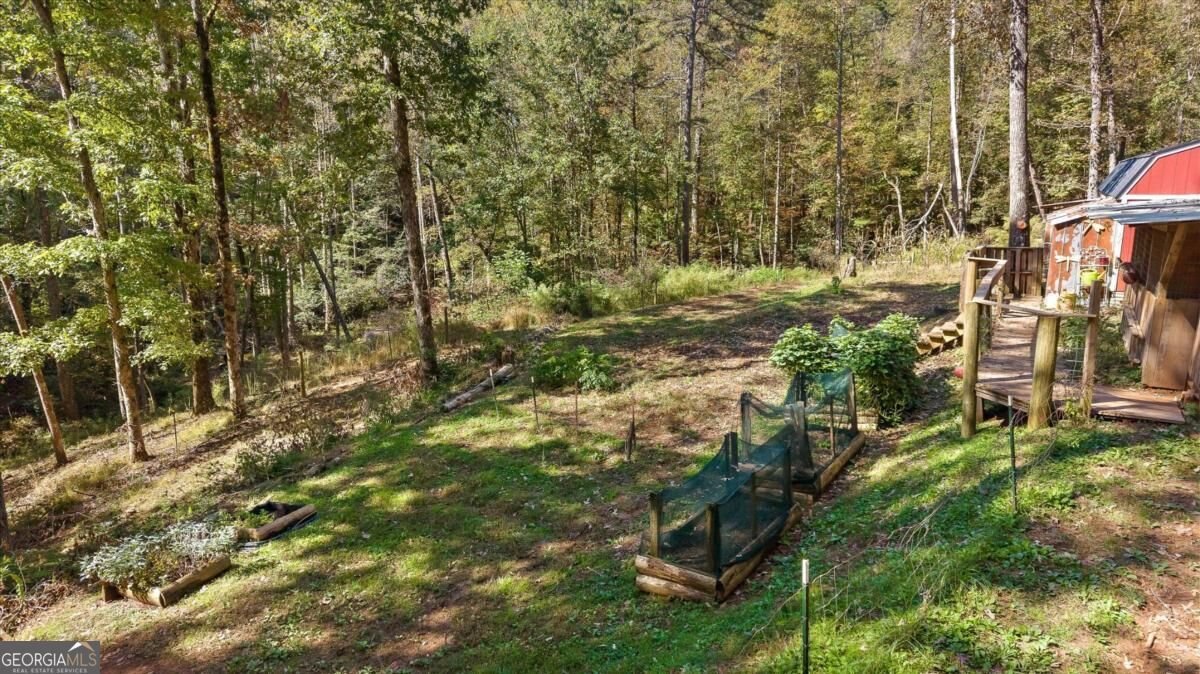 235 Chadwick Road Ellijay - Photo 67