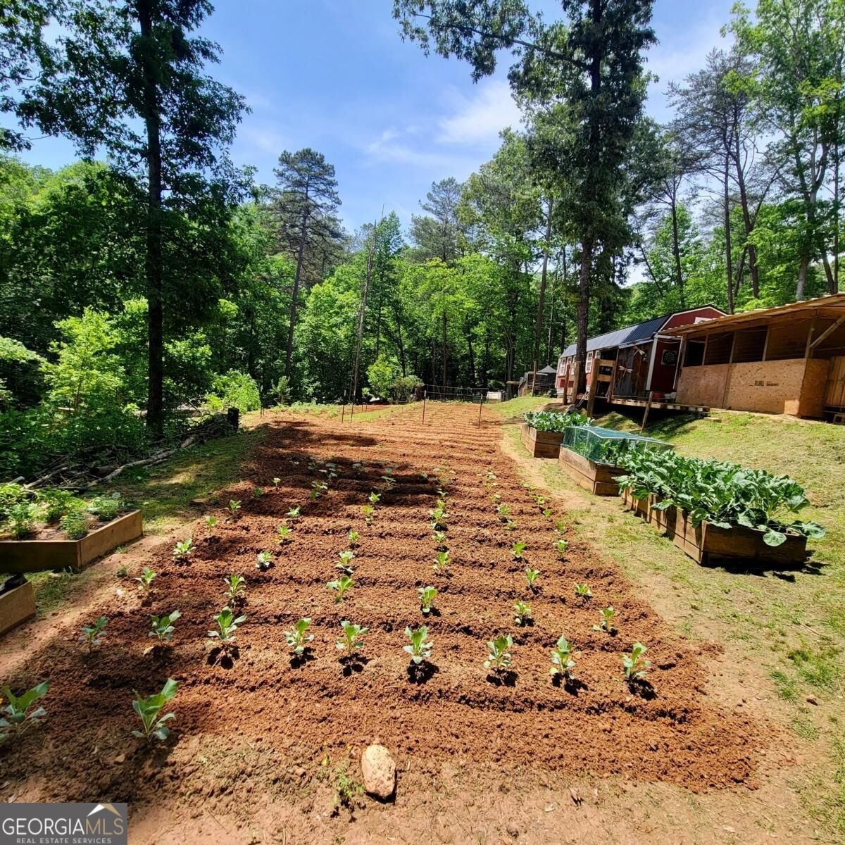 235 Chadwick Road Ellijay - Photo 68