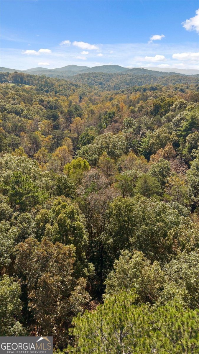 235 Chadwick Road Ellijay - Photo 73