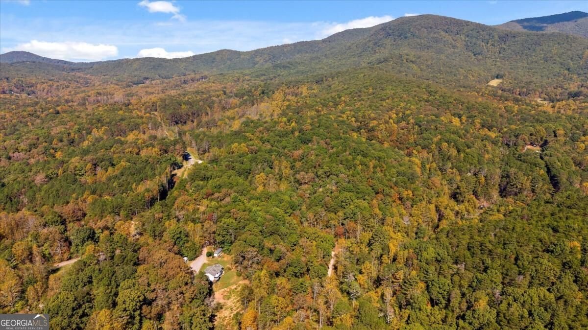 235 Chadwick Road Ellijay - Photo 74
