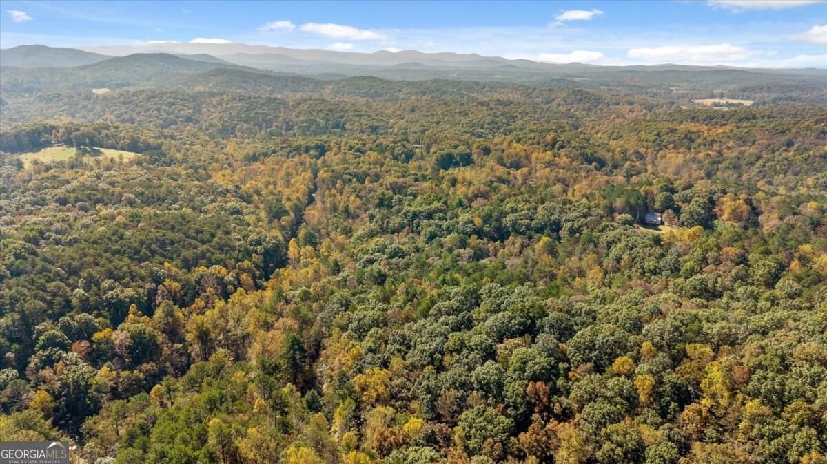 235 Chadwick Road Ellijay - Photo 75