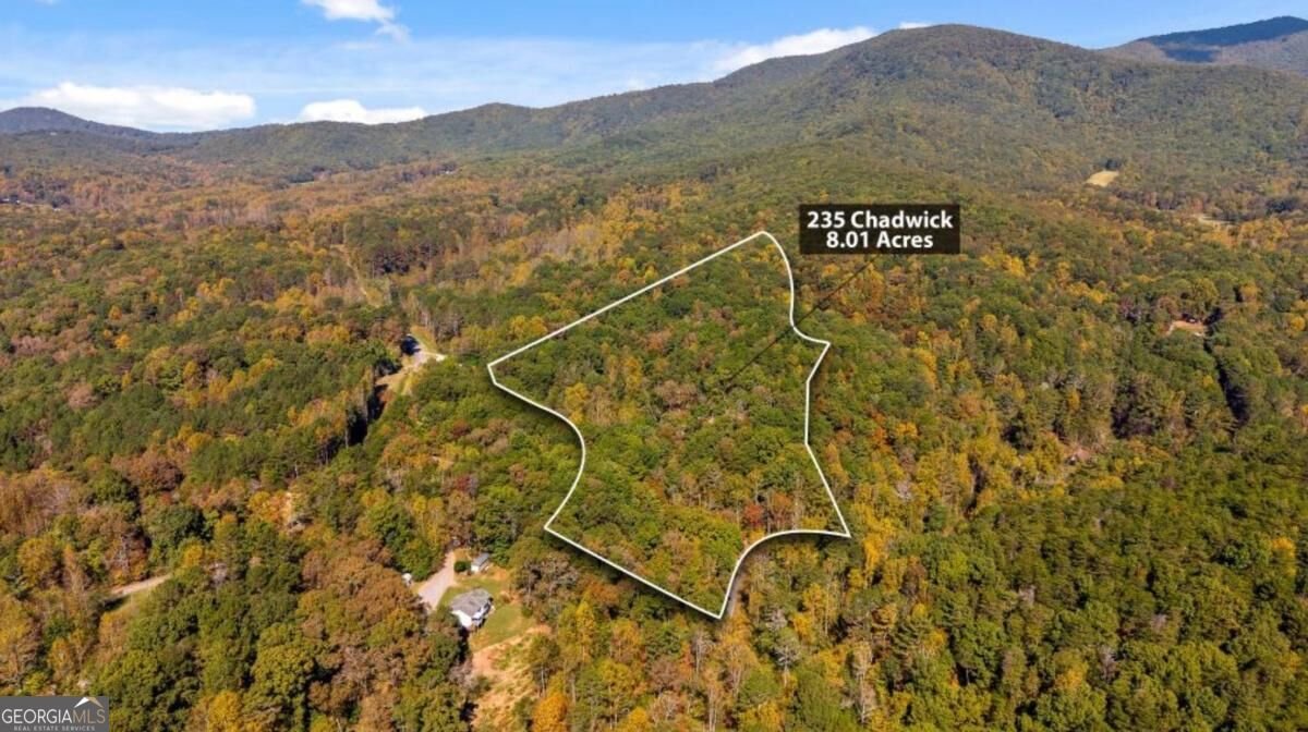 235 Chadwick Road Ellijay - Photo 76