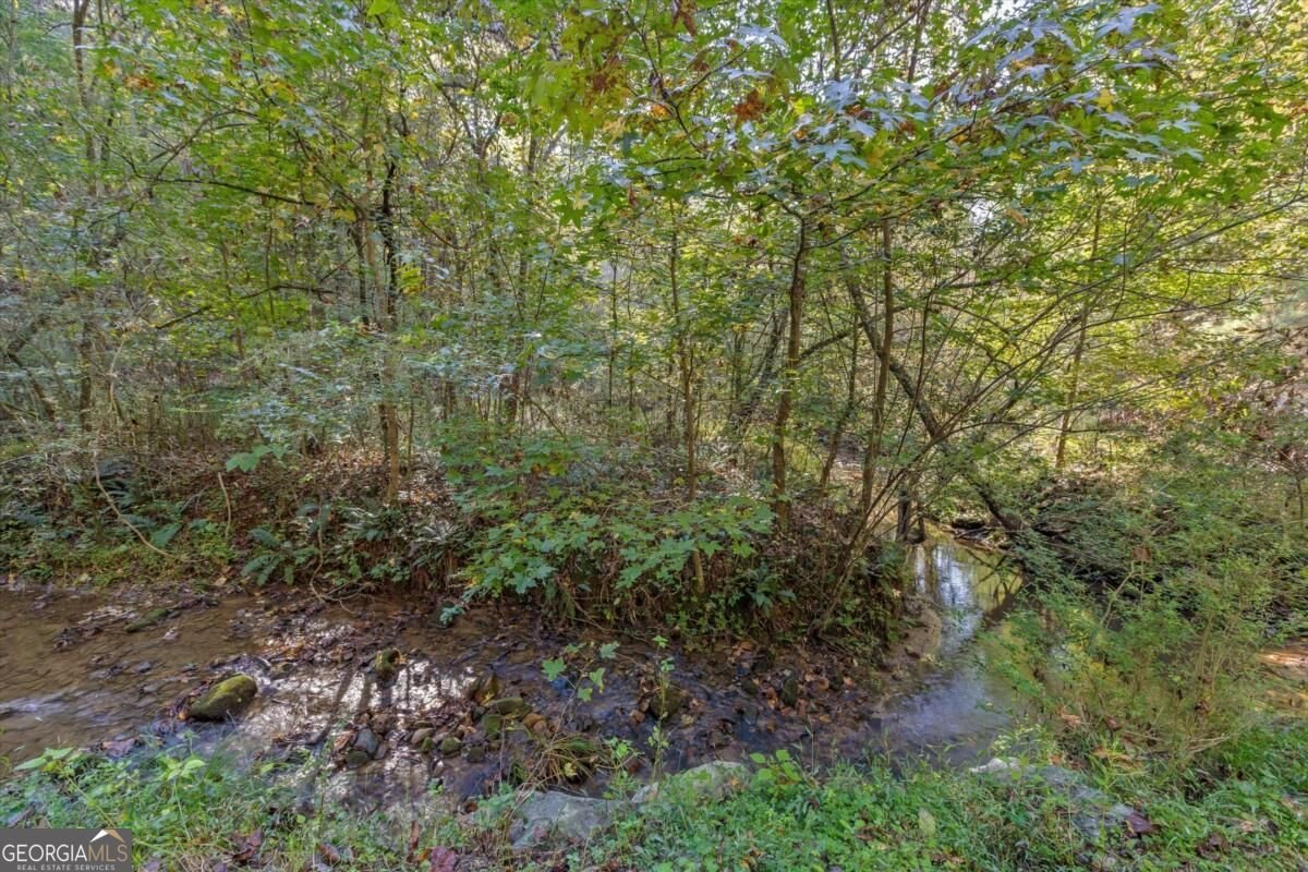 235 Chadwick Road Ellijay - Photo 9