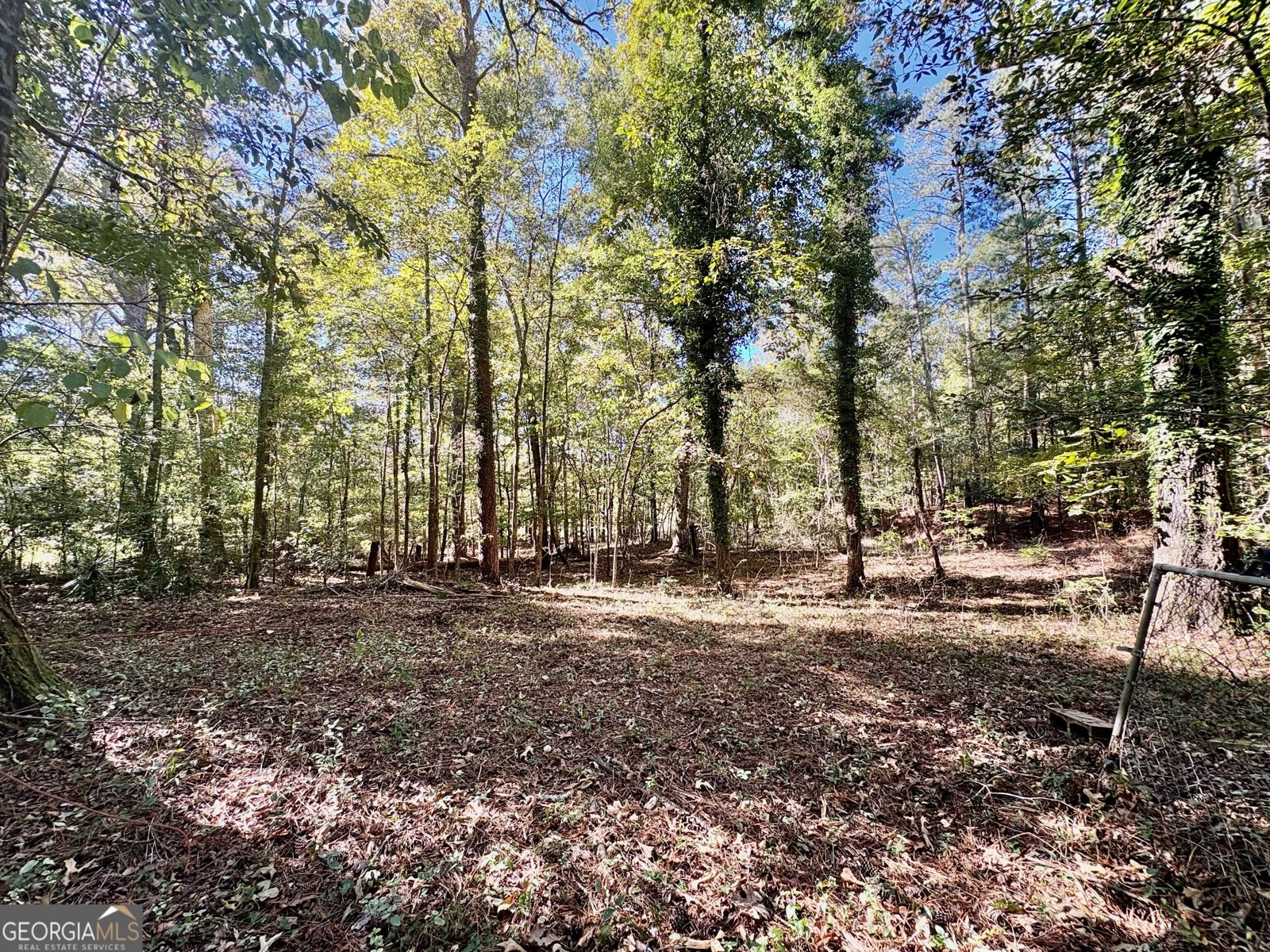 207 Carnation Drive Fort Valley - Photo 29