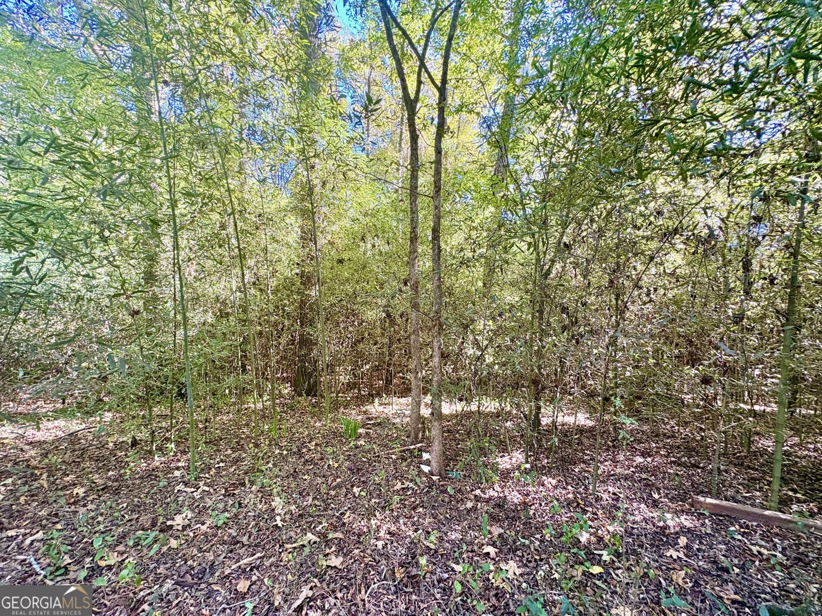 207 Carnation Drive Fort Valley - Photo 30