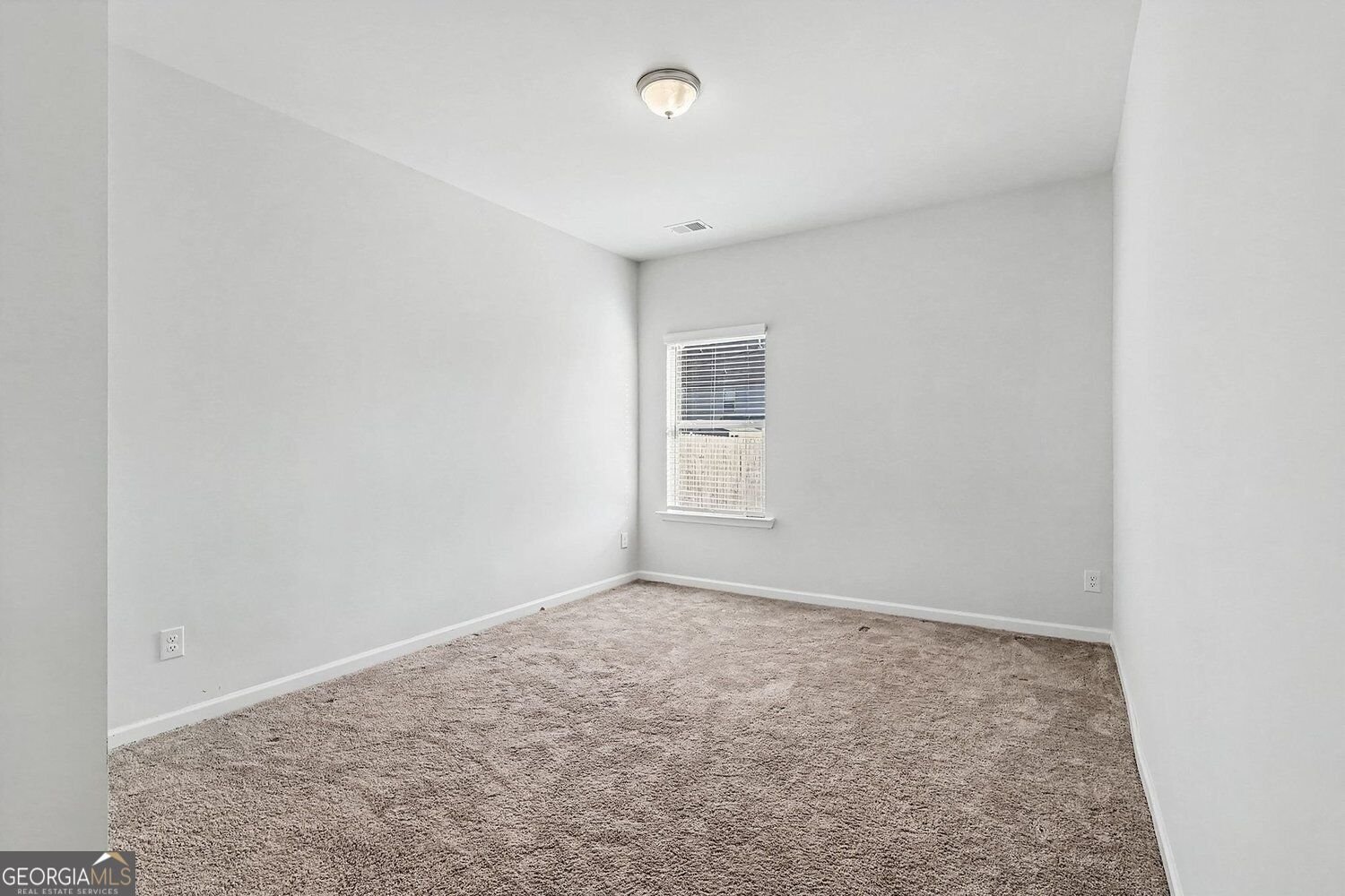 305 Eleanora Crossing Loganville - Photo 20