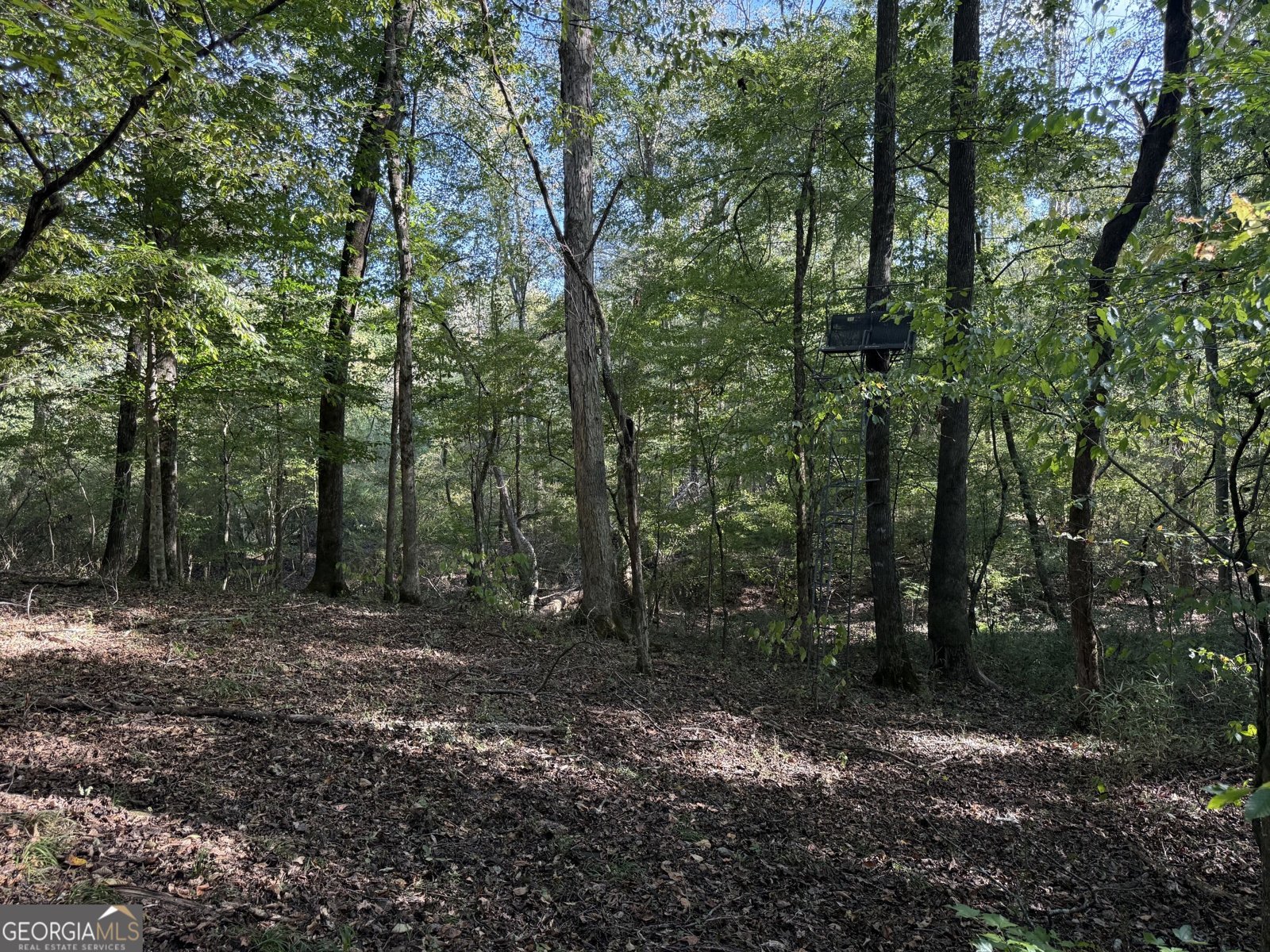 1284 Highway 18 Barnesville - Photo 102