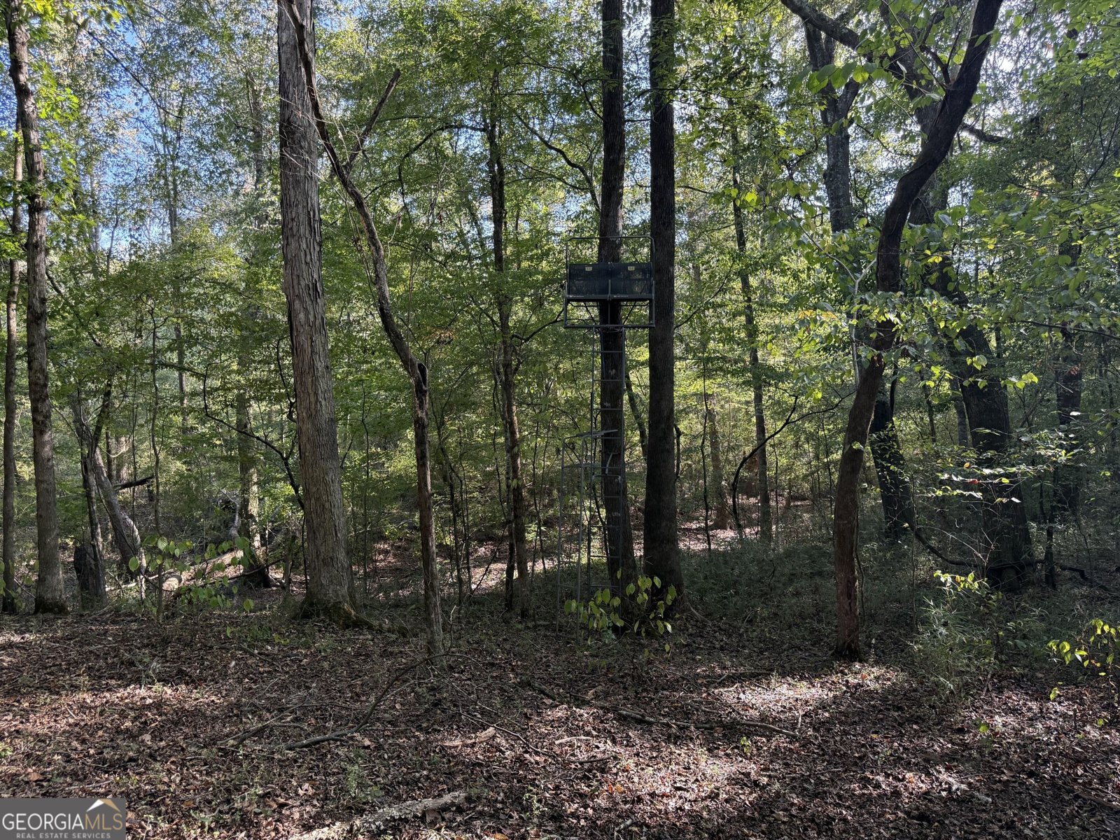1284 Highway 18 Barnesville - Photo 103