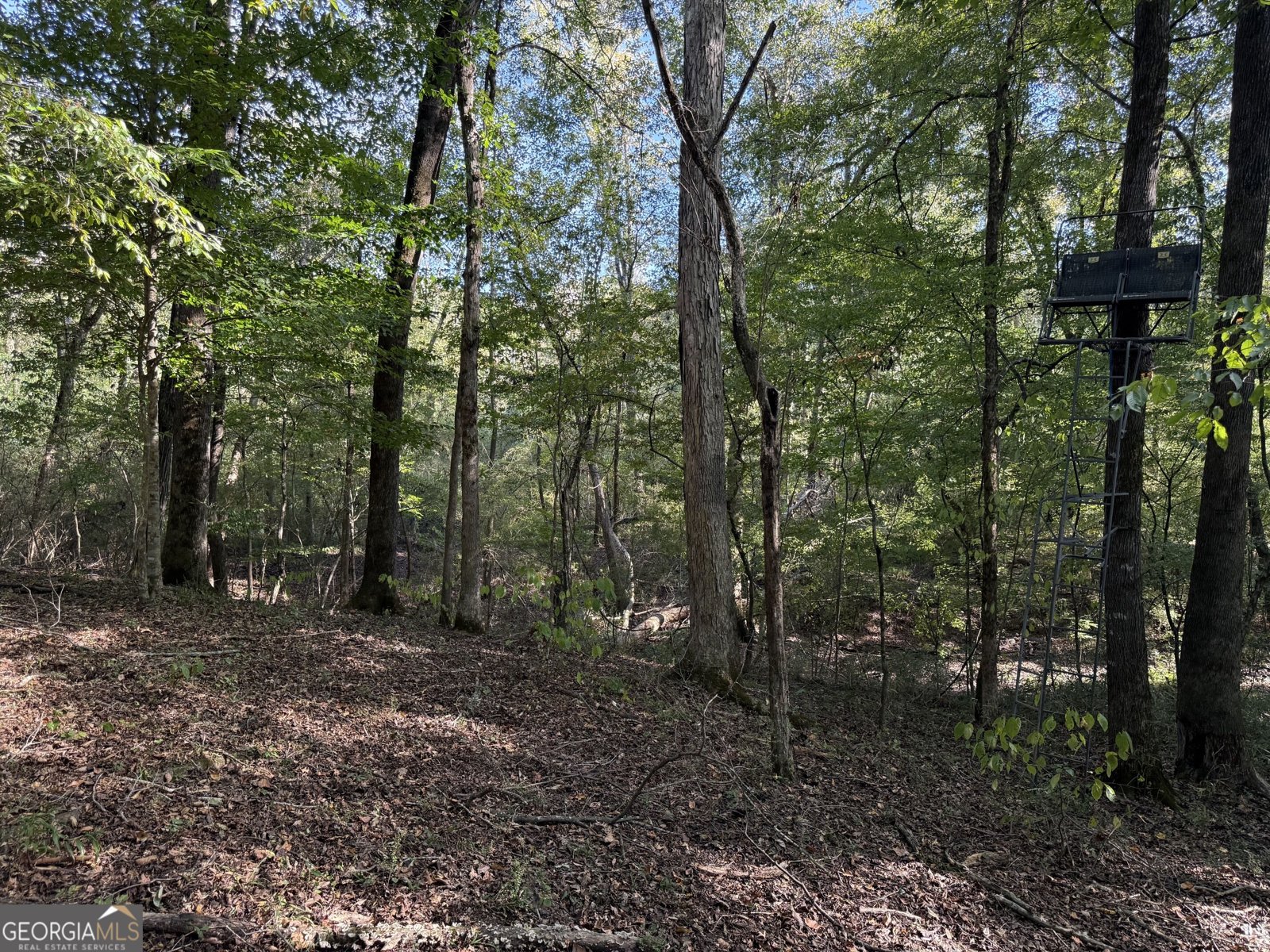 1284 Highway 18 Barnesville - Photo 104