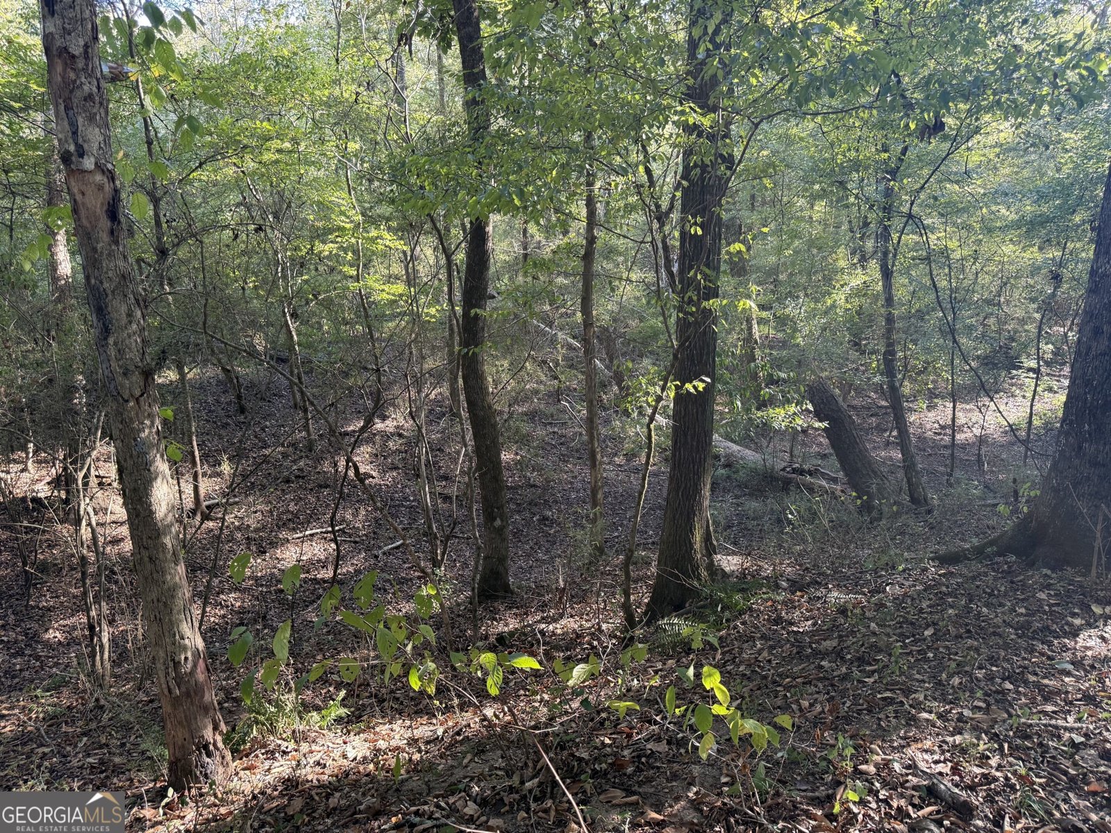 1284 Highway 18 Barnesville - Photo 105