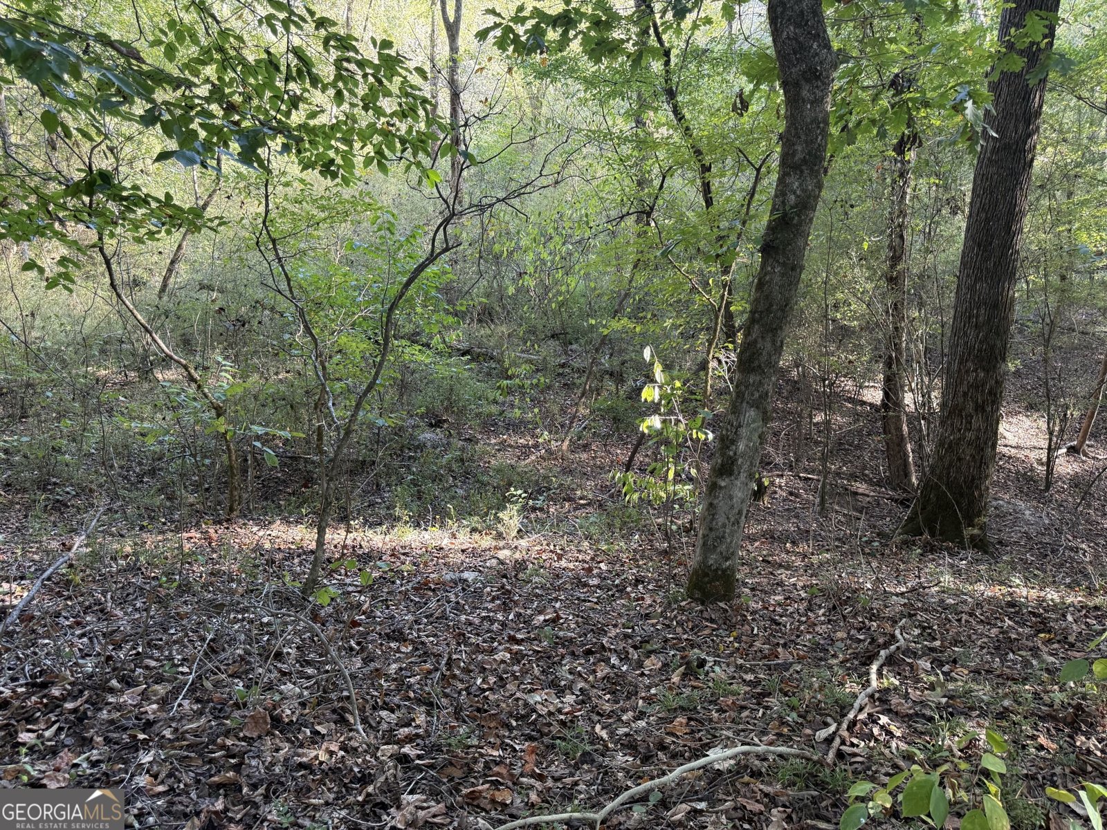 1284 Highway 18 Barnesville - Photo 106
