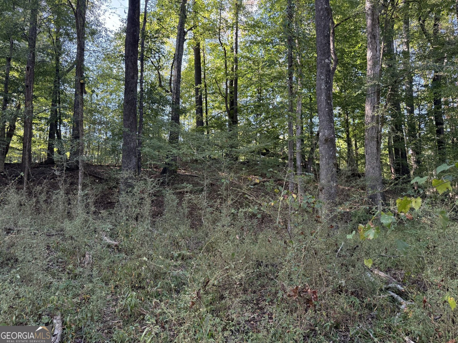 1284 Highway 18 Barnesville - Photo 112