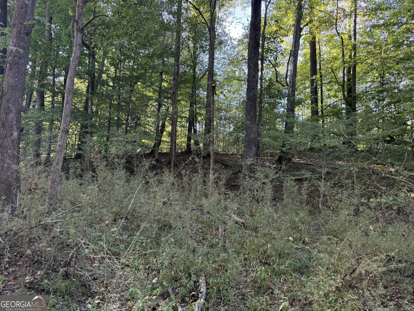 1284 Highway 18 Barnesville - Photo 113
