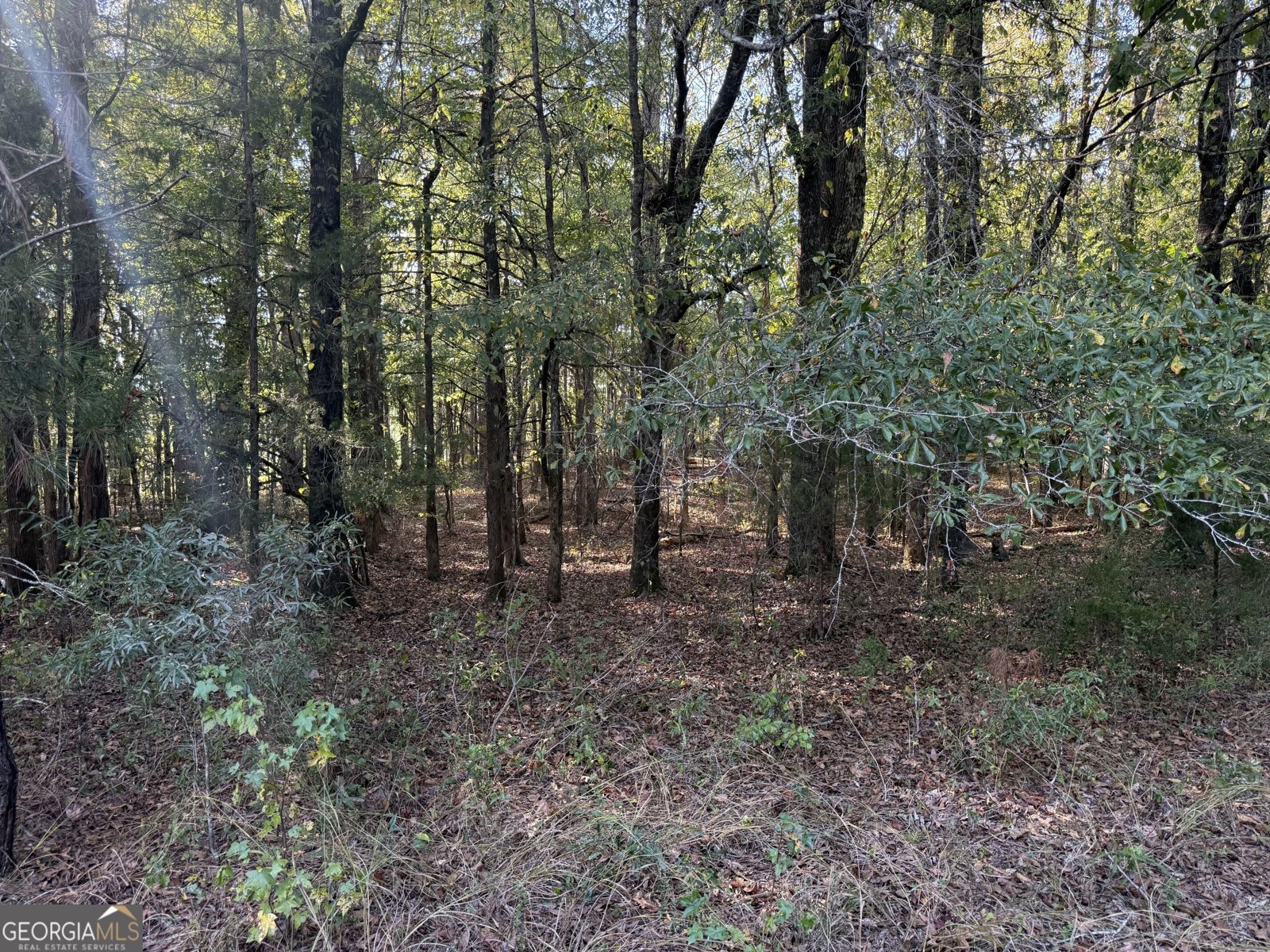 1284 Highway 18 Barnesville - Photo 114