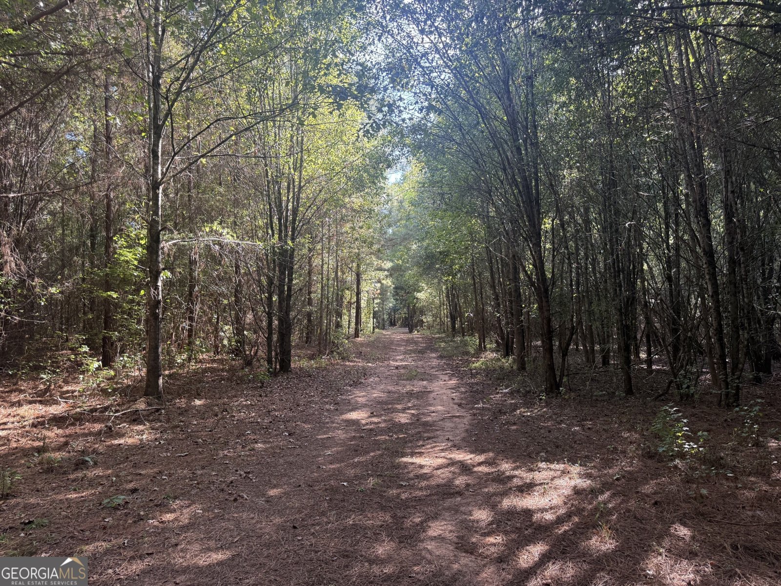 1284 Highway 18 Barnesville - Photo 32