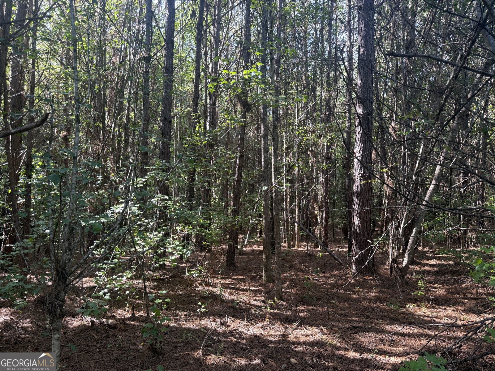 1284 Highway 18 Barnesville - Photo 34