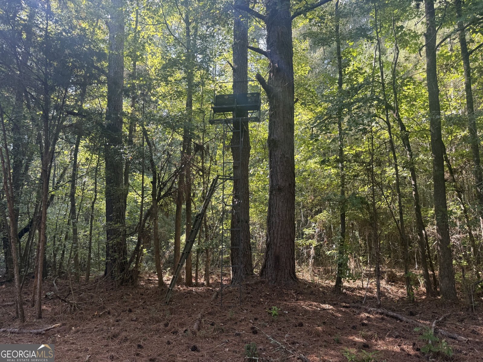 1284 Highway 18 Barnesville - Photo 37