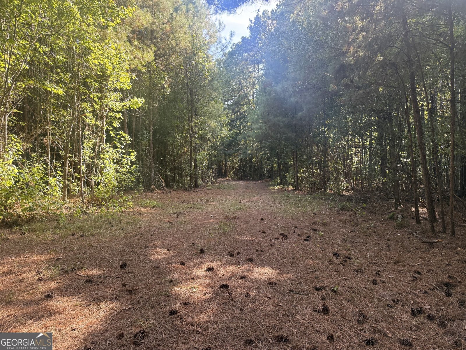 1284 Highway 18 Barnesville - Photo 39