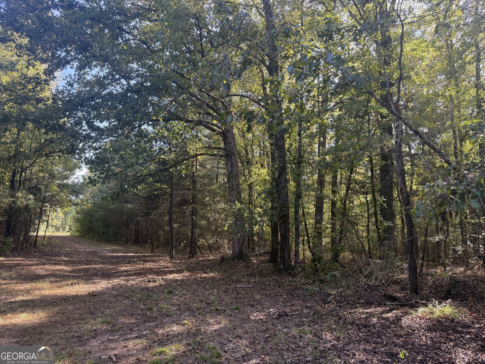 1284 Highway 18 Barnesville - Photo 40