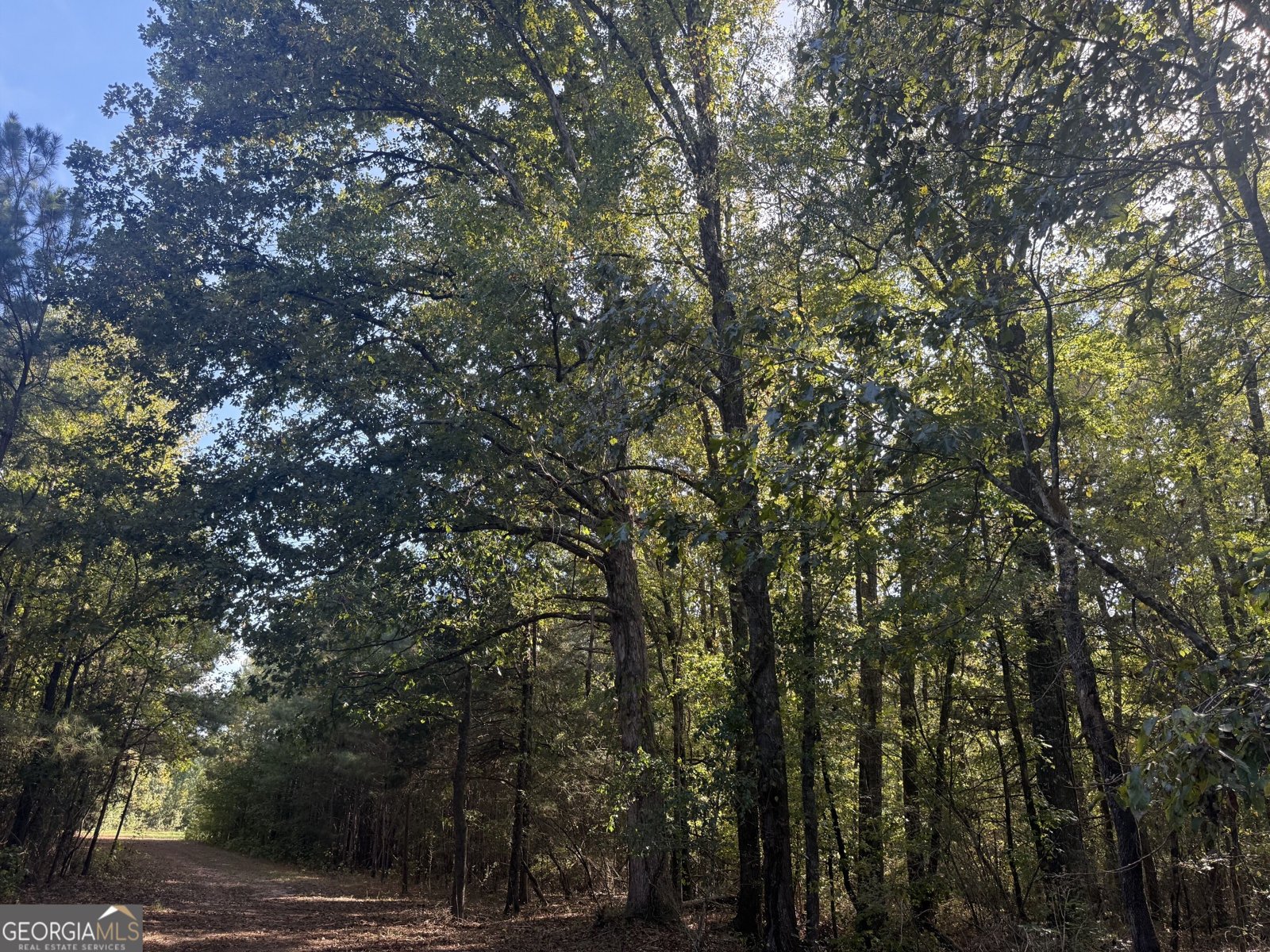 1284 Highway 18 Barnesville - Photo 41