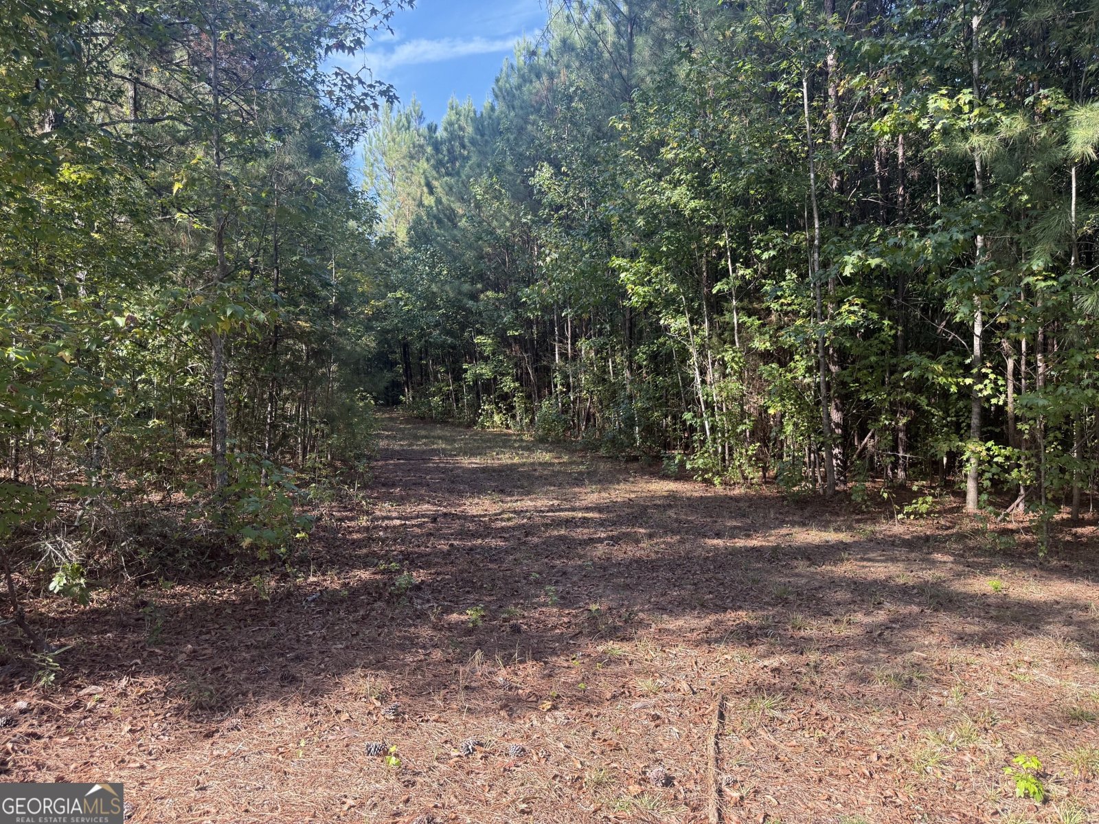 1284 Highway 18 Barnesville - Photo 47